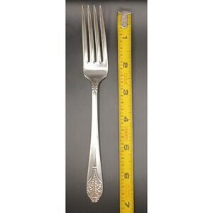 Claudia (Silverplate) by Unknown Mfg Silver - 1 piece